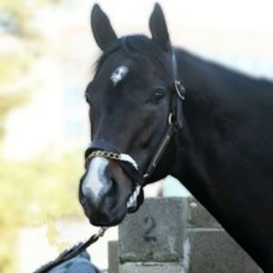 Meet your Posher, Sheri